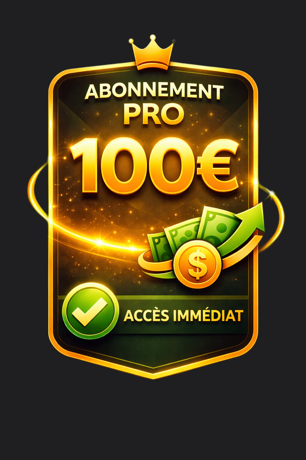 Abonnement Pro – Maximisez vos revenus en ligne